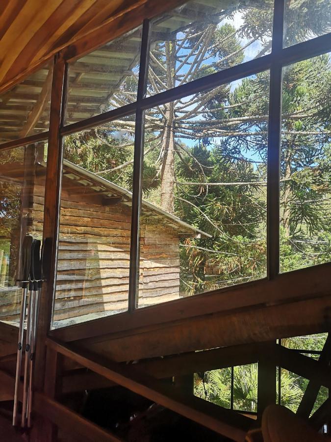 Alive Eco Hut Pousada Monte Verde (Minas Gerais) Exterior foto
